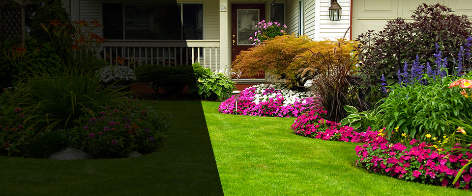 Saint James Landscapers
